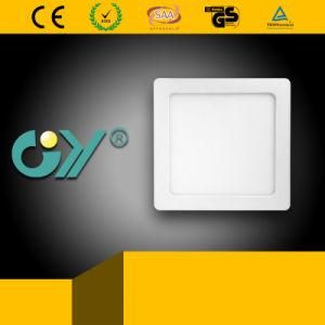 3000k 30W LED Super Slim Panellight with Ce