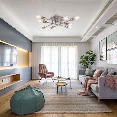 New Nordic Modern Iron Creative Design Living Room Bedroom Home Light Ceiling Lamp