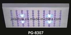 LED Stainless Steel Shower Head (PG-8307)