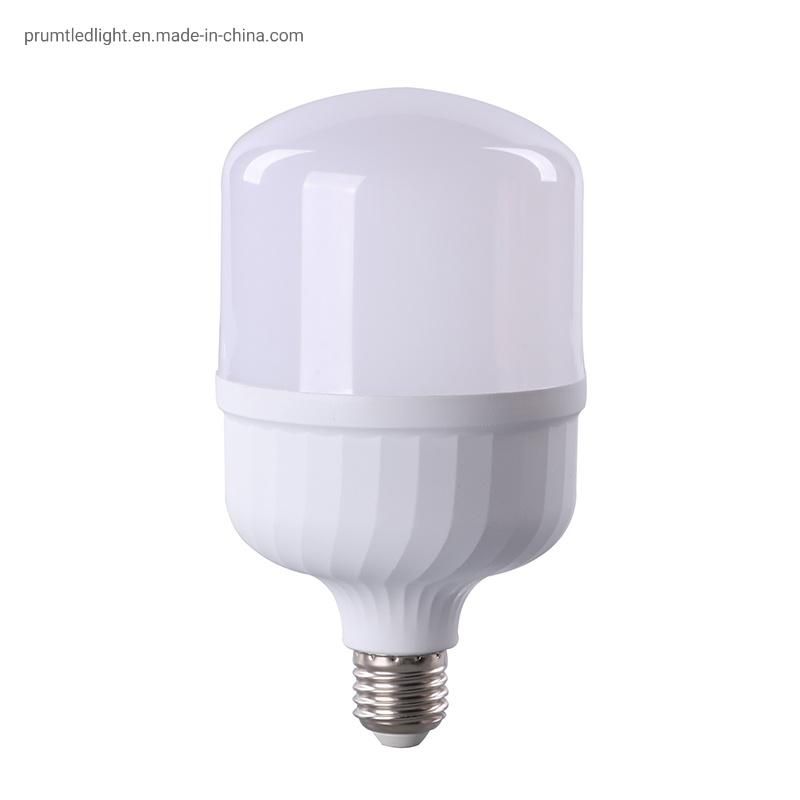 IC Driver Long Lifetime 15W/20W/30W/40W/50W/60W LED T Bulb