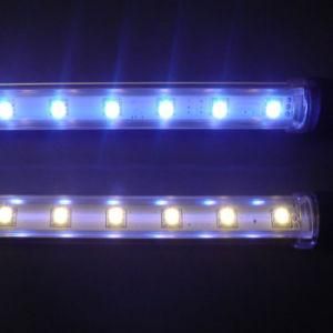LED Light Fitting