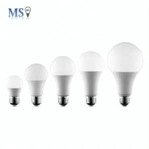 Bona Famous Brand AC 30W LED Bulb Light