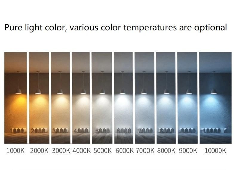 G95 Half Plated Vacuum Filament LED Light Bulb Customizable