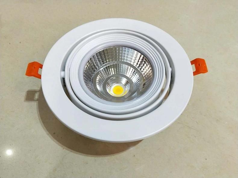 Recessed COB Replaceable Adjustable Spot Ceiling Downlight Cool White Warm White Natural White LED Down Light for Shops Hotels