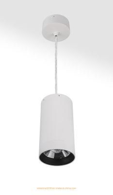 Pendant Light Fixtures Pendant Lighting Office Residential Lamp Surface-Mounted Light
