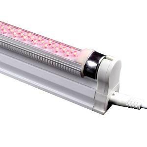 Color LED Tube Light