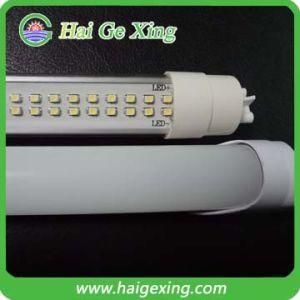 Competitive T8 LED Tube