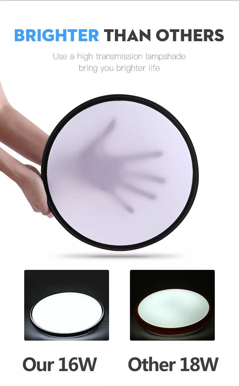 Modern Surface Mounted Bedroom Living Room Home Lighting Round Pink Black LED Ceiling Lamp LED Ceiling Light