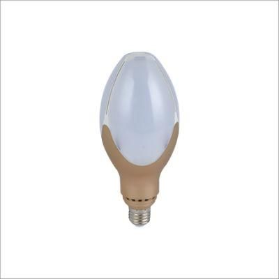 High Power LED Bulb Lamp Raw Material Light 60W
