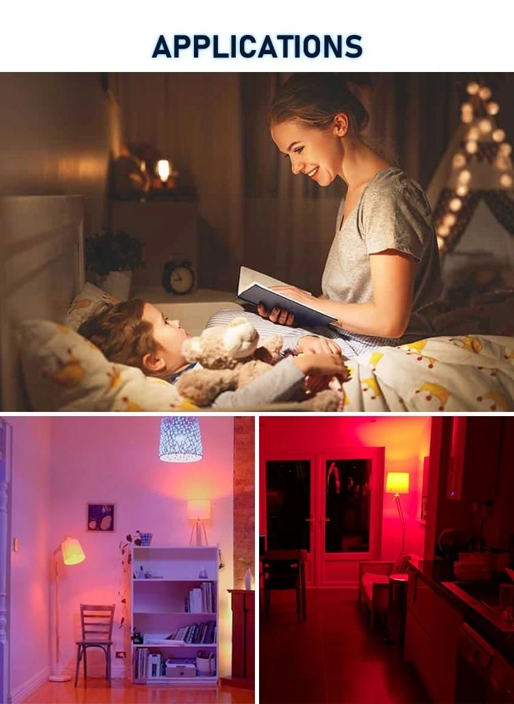 Bedroom Indoor LED Lamp for Garden Decoration with Excellent Supervision