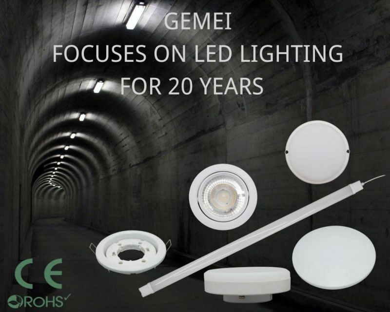 Easy Installation Decorative Lamp LED Flame Bulbs OEM/ODM CE EMC LVD RoHS