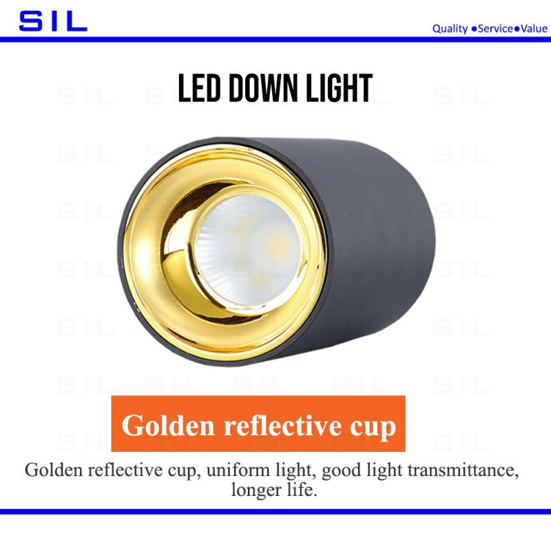 Super Bright 120lm/W LED Downlight Diameter Surface Mounted COB 20W LED Down Light