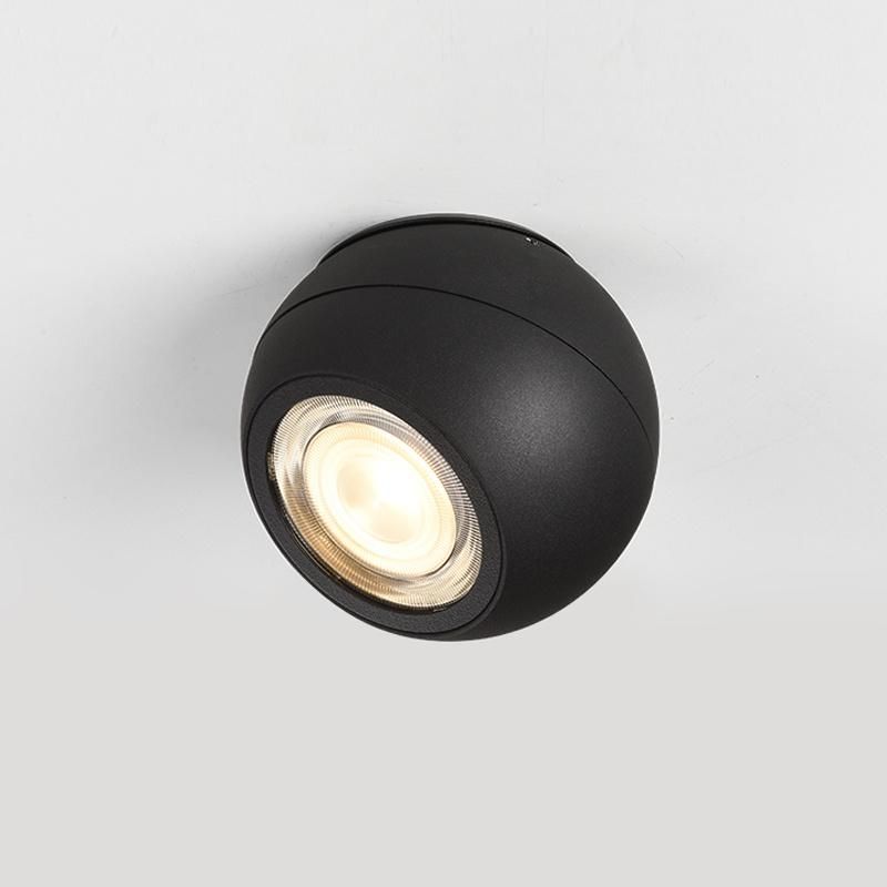 12W Ball Shape LED Ceiling Light Rotatable Decorative Spotlight