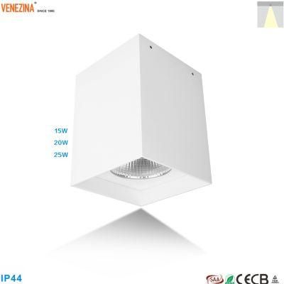 Modern Original Style 20W/25W High Power LED Surface-Mounted Downlight