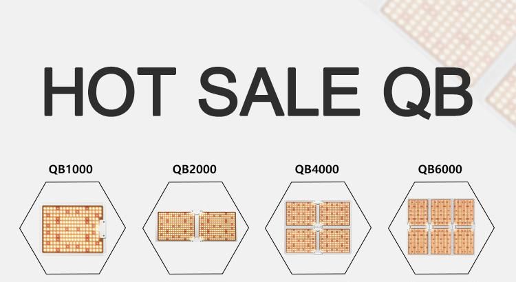Full Spectrum Full Spectrum LED Grow Light Quantum Panel for Indoor Plants