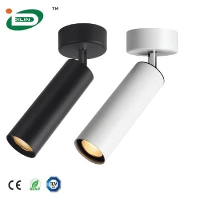 Modern COB AC100-240V 50/60Hz CRI &gt;80ra Business Photo Commercial LED Ceiling Light