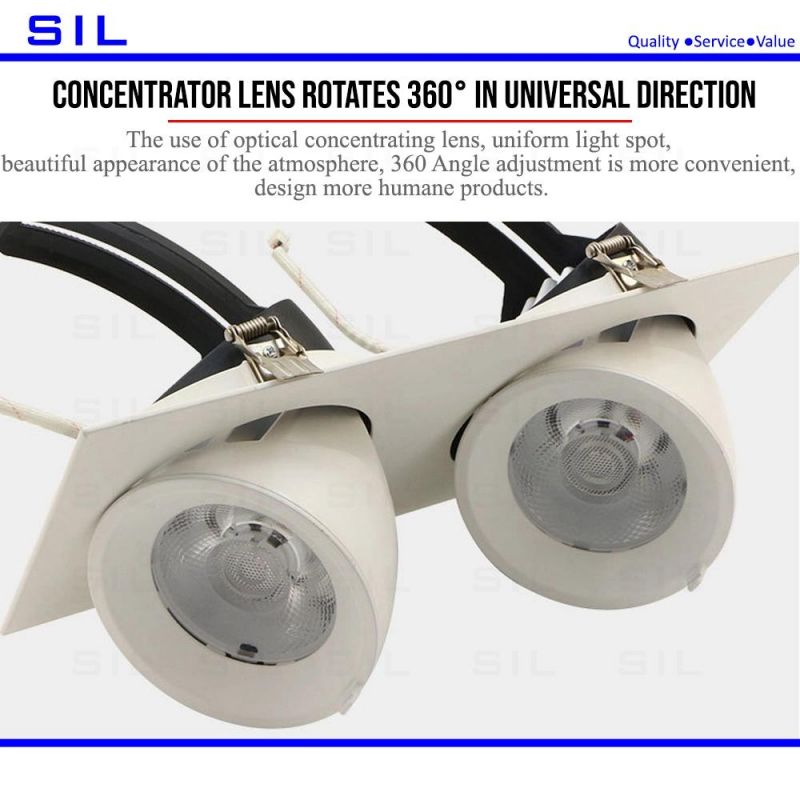 High Quality Modern 2X15W 30W COB Indoor Lighting Recessed Ceiling Spot Light