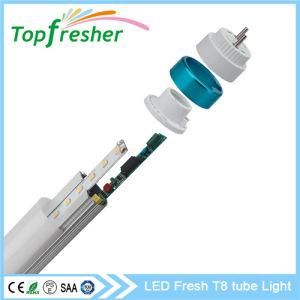 Factory Wholesale Wht8 1200mm 20W LED Tube for Meat Display