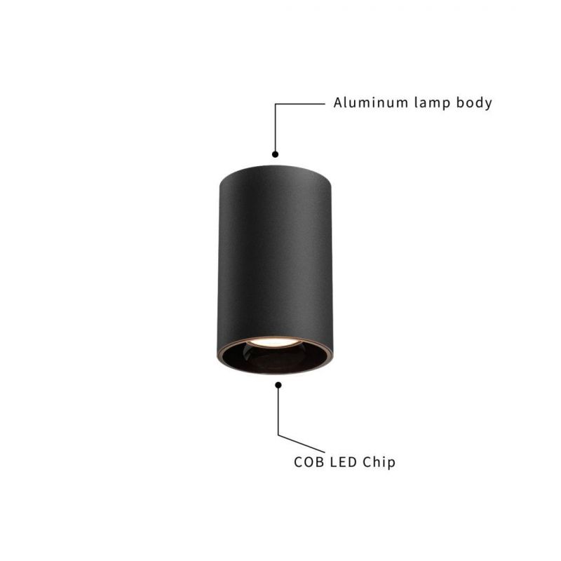 Aluminium Surface Mounted Ceiling Downlight Waterproof IP65 LED COB Downlight