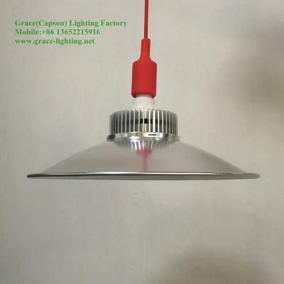 LED Professional Manufacturer 30W High Bay Pendant Lamp