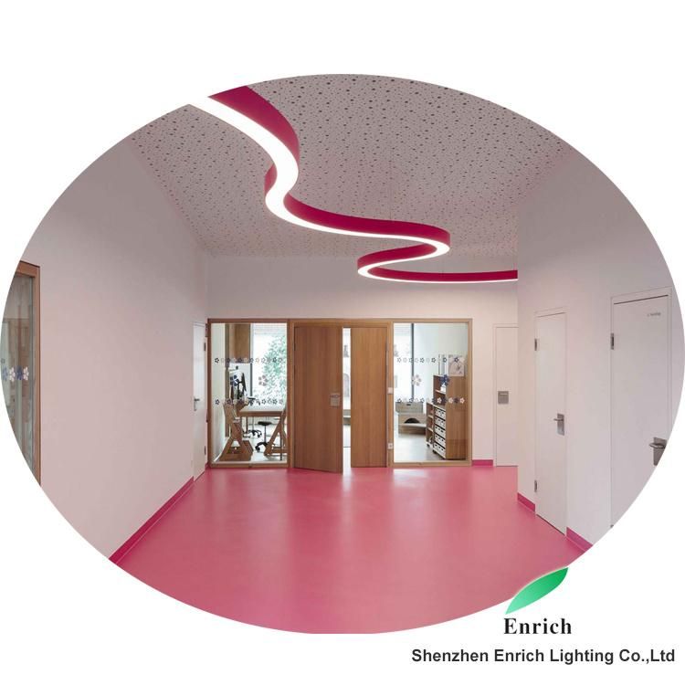 OEM Curve S Shape Circle LED Ring Dimmable Lamp Ceiling Hanging LED Pendant Light for Office