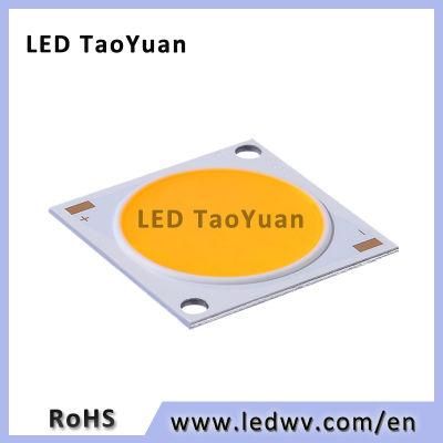 Shenzhen LED COB 30W COB LED Chip