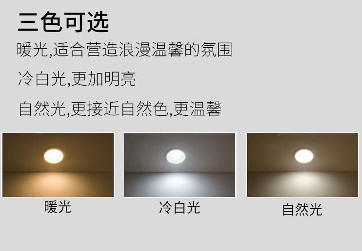 Fire Rated 3 Color Settings COB LED Downlight