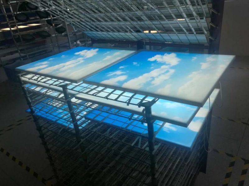 Blue Sky Design Decorative Frameless LED Ceiling Panel Light