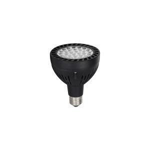 China Factory Directly Sales New Products Smart 2 Year Warranty 40W LED PAR30 Bulb Spot Light