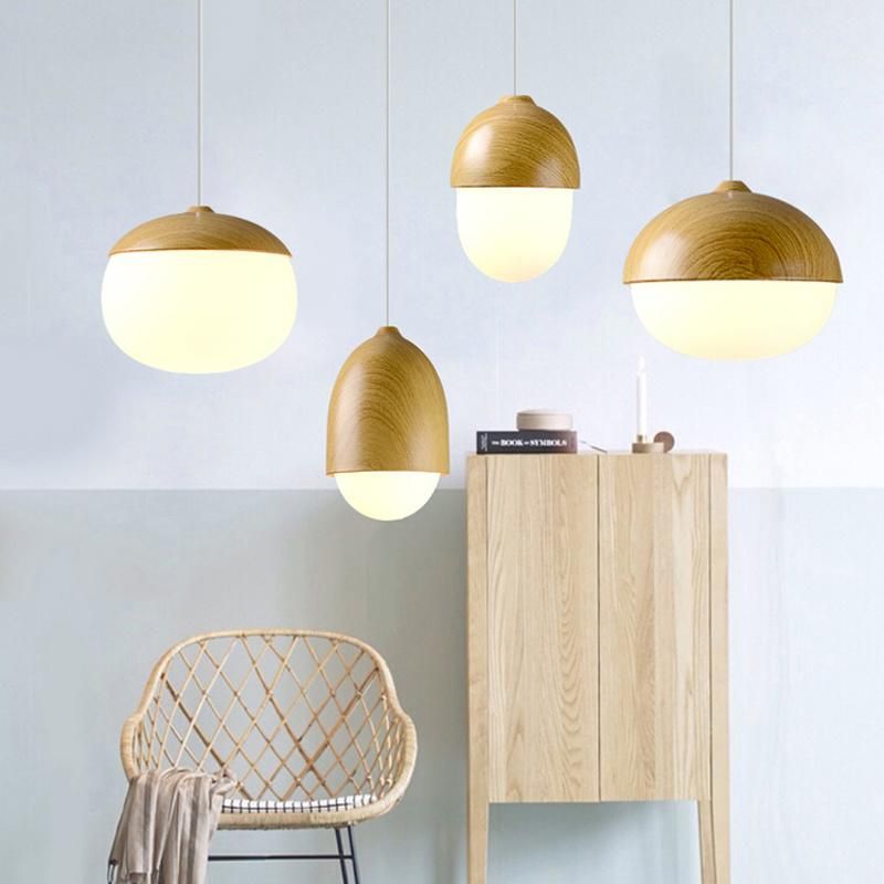 Hanging Lamp Living Room Lamp for Home Decoration Pendant