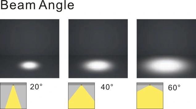 Adjustable and Rotatable Ceiling Surface Include Driver COB LED Recessed Downlight