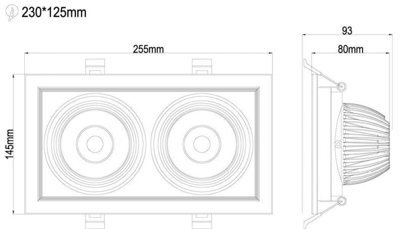 Factory Custom New Design OEM 24W Double Heads Lamp LED Grille Light