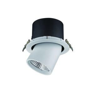 LED Recessed Spotlight Adjustable 28W Recessed COB LED Ceiling Downlight R3-1021