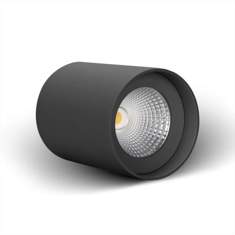 Waterproof LED Surface Mounted Downlight Ceiling Light Cylindrical Down Light in 5 Years Warranty