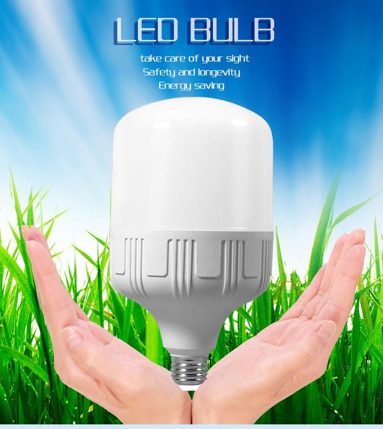 T100 30W E27 Plastic-Coated Aluminum High Power LED Light Bulb