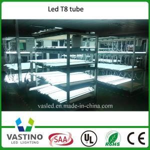 UL/SAA/TUV Certificated Low Current Ripple LED Tube Light