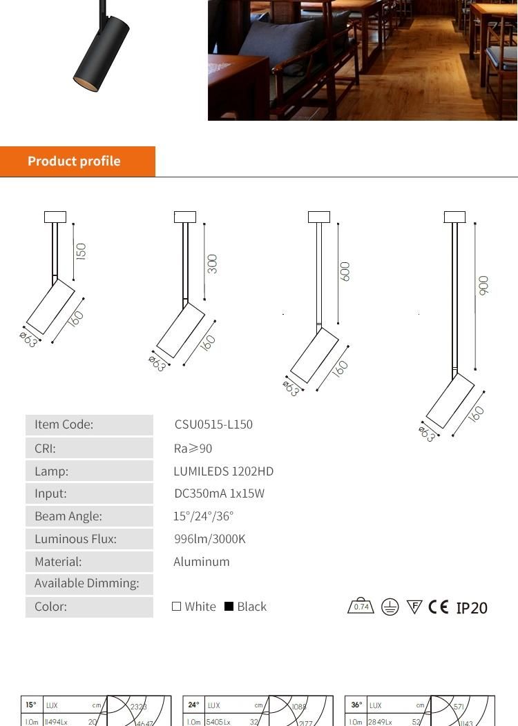 220V Long Arm 15W Dimmable Ceiling Surface Mounted Adjustable Indoor LED Spotlight