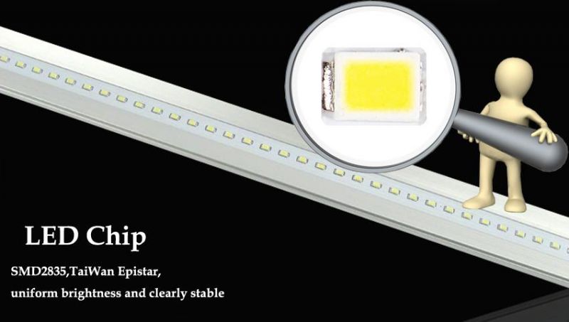 160lm/W CRI>80ra 3000lm T8 18W LED Tube Light AC85-305V 6000K Cool White PF>0.9 Surge Range 4kv