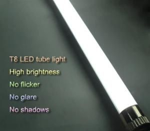 T8 LED Tube/T8 LED Tube Light