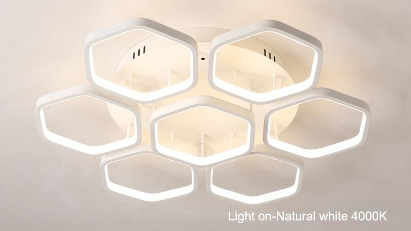 Modern Housing Decorative Multi-Heads Chandelier LED Ceiling Light