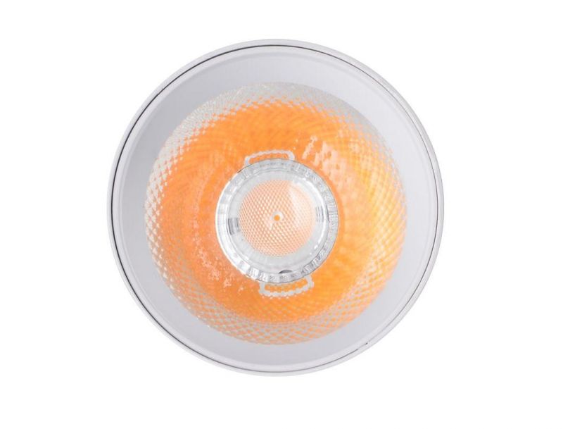 20W COB LED Track Lighting Dimmable for Clothing Store