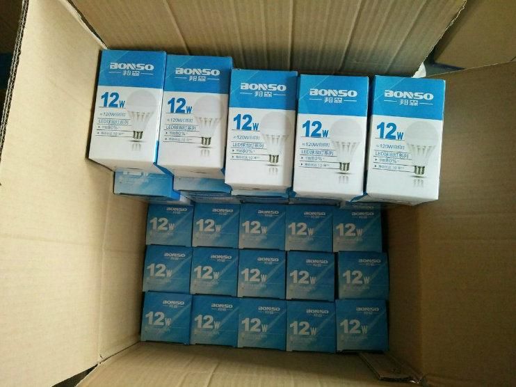 Brightness Global LED Bulb A60 9W