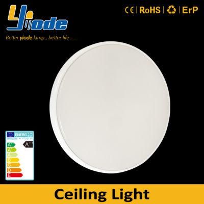 220V-240V Modern 24W LED Ceiling Lights for Office