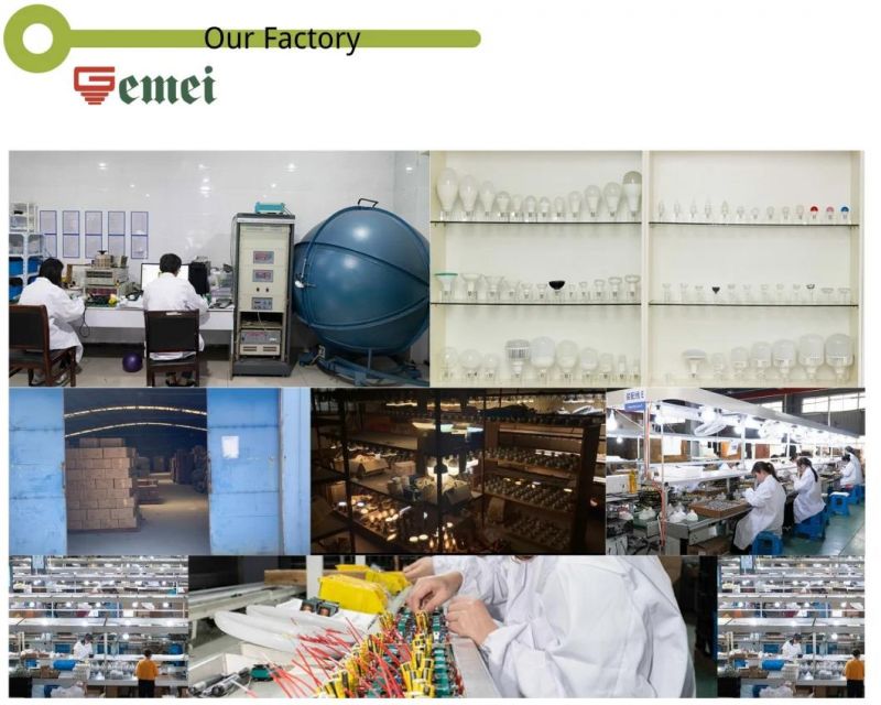 Factory Price, Fast Lead Time and Flexible OEM Service Help to Meet Customer′s Demand T Shape Lamps with Streak