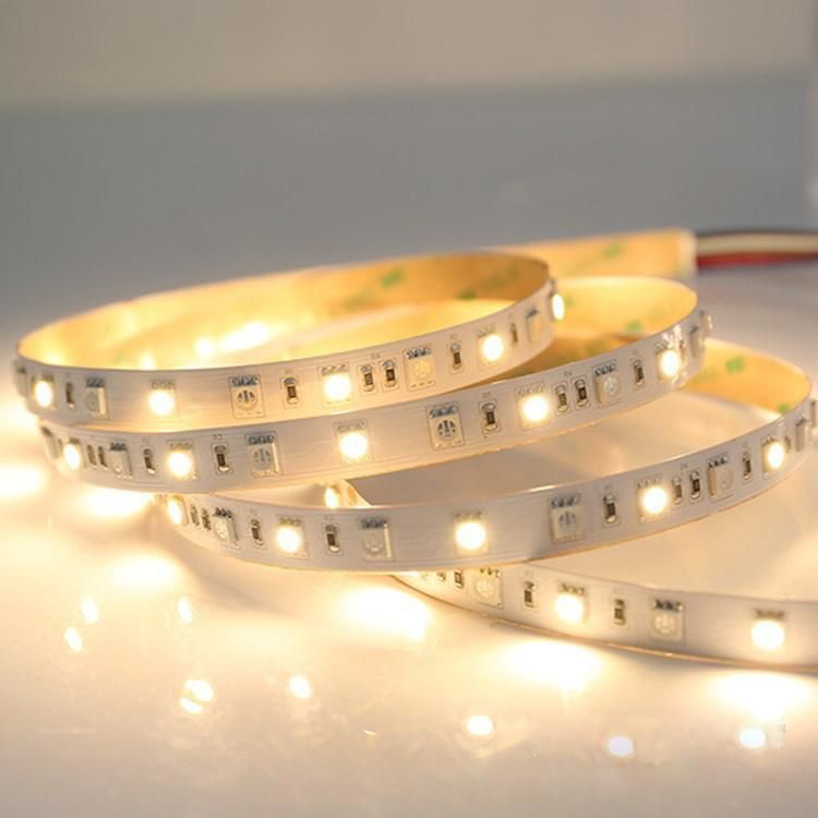 12V SMD5050 Flexible Waterproof IP68 LED Strip Light 20000K
