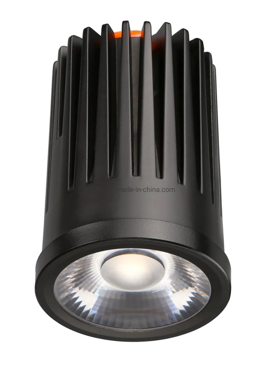 New Products 7 Degree Beam Angle LED COB Downlight MR16 COB LED Downlight Module