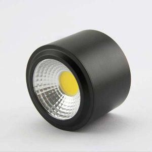 10W COB LED Downlights Straight Type