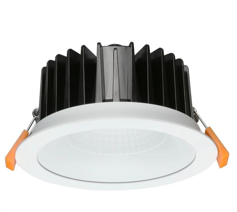 OEM Customized LED COB Downlight, COB LED Downlight