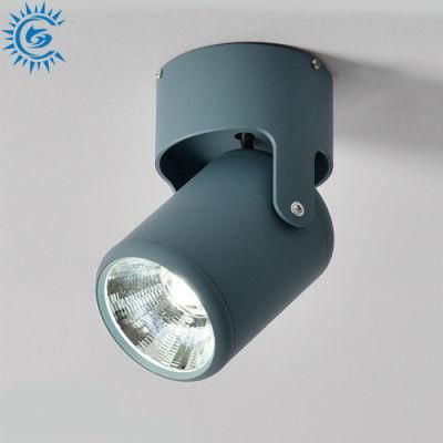 5W 7W 12W 3000K 6000K CCT Dimmable Flexibly Rotatable Light Head Surface Mounted Ceiling Spot Lighting Track Light Fixture
