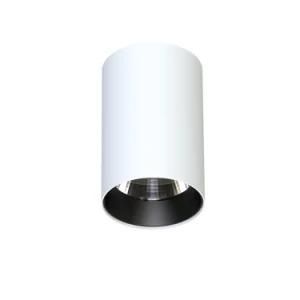 Small COB Black White Back Cover Tube LED Surface Mounted Downlight